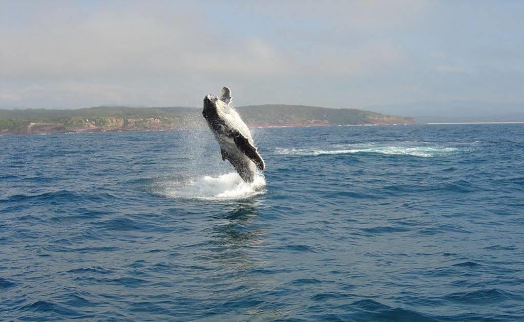 Nautilus Apartments Merimbula Eksteriør bilde